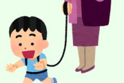 子供用ハーネスとかいう何故か流行らなかった道具　安全保護の観点として有能アイテムやと思うんやが