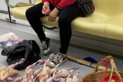 地下鉄の中で突如鶏肉を床に並べて販売する女性が話題に　予想以上に堂々と売ってる
