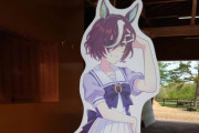 ウマ娘オタクさん、今度は馬の近くでガチャを引いて牧場に迷惑をかける