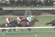 【競馬】トゥザグローリー産駒が重賞初勝利