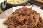 【写真】お肉どっさり定食とかいう松屋の狂気