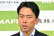 【自民党総裁選】自民党神奈川県連の党員票不正工作まとめ、小泉進次郎は責任取らずに海外逃亡…ネット「こんなのに国のトップを任せたら政の失敗は国民のせいにされるぞ」