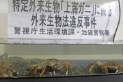 池袋警察署「上海ガニ押収したからみてー！」