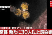 【速報】「東京アラート」検討へ、2日の感染者が30人以上に