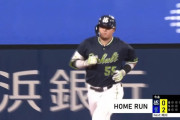 村上31号