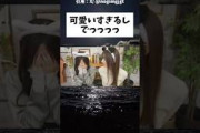 にゃぎ可愛い、小吉でっっっ #乃木坂46 #乃木坂