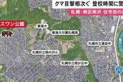 【札幌】 「クマが追いかけてきた！」 住宅地の公園付近にクマが出没