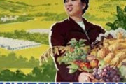 海外「中国人の友人は北朝鮮を酷い国だと思っていないようなのだが、中国ではこれが普通なのか？」