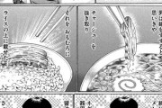 【丼化】なんだよこの漫画ｗｗｗ【注意】