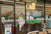 外国人「日本のセブンイレブン前で犬のように繋がれてる動物…」