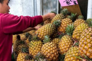 中国「台湾、お前のとこからパイナップル買うの辞めるわw」 日本「全部買うわw」