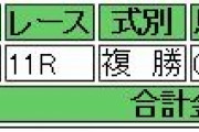 【競馬】ケイティブレイブの複勝に５０万円行こうと思うんだがアドバイスある？