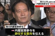 【速報】西川内閣官房参与が辞意　疑惑の鶏卵大手から接待