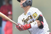 【朗報】阪神の“新星”野口　１軍首脳陣の前で豪快柵越え連発　特大弾に観客もざわつく