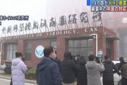【悲報】日米など14か国がWHO調査に懸念を表明...5ch「WHOが存在する意味って」