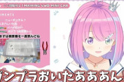 【悲報】Vtuber「ガンプラ出来た！」ガンダムおじさん「間違えてますよw」Vtuber「うるせえな！」