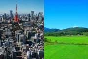 都会と田舎の両方に住んだことがある人だったら理解してくれそうなこと