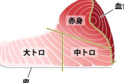 アメリカ「あれ？日本のコロナ被害が小さいのってマグロ・ブリ食ってるからじゃね？」