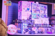 【艦これ】艦これグッズも高いやつは凄いプレミア値段してそうでち