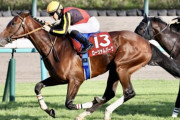 【競馬予想】[1]第63回アルゼンチン共和国杯(GⅡ) /2025