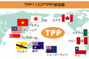 #韓国記事翻訳　『韓国のTPP加入の足を引っ張る日本』、『日本猿の顔色をうかがって加入する必要ない!!!我が国の主敵は日本だ!!!』
