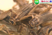 テレビ「『陸のエビ』が食糧危機を救う！」