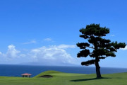 海外「日本のゴルフ場は他とは全然違う！」世界的に独特な日本のゴルフ場の特徴に対する海外の反応