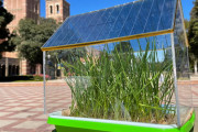 農業と太陽光発電を両立する半透明の有機太陽光発電ー米大学