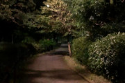 深夜の公園怖すぎワロタ