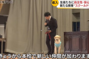 【画像】スクールドッグ🦮を導入した学校、不登校が激減💥