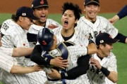 WBC年末特番、7時以降の民放視聴率第1位
