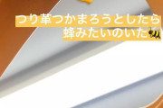 【SKE48】惣田紗莉渚「つり革つかまろうとしたら蜂みたいなのいた」