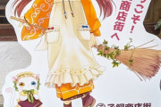 【画像】近所の商店街が萌えキャラで町おこししてるけど可愛くないｗｗｗｗｗｗｗｗｗ