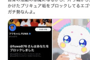 【悲報】炎上中のフワちゃん、プリキュアオタクを片っ端からブロックしていた疑惑が浮上するｗｗｗｗ