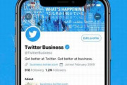 【マジ注意】ツイッター新機能『Twitter Pro』に面白半分で手を出すと凍結される危険が！　◯◯◯アイコン使用禁止という無理ゲーすぎる罠が…