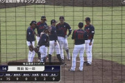 【侍ジャパン対広島練習試合】侍ジャパン・隅田、予定の３回を持たず…３回途中９失点ＫＯ
