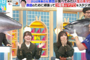 【櫻坂46】れなぁ＆保乃ちゃん、とんでもない回に呼ばれてしまう【ラヴィット】