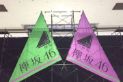 【欅坂46】握手会の代わりにこれならいけるｗｗｗｗｗｗｗｗｗｗｗｗ