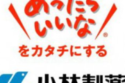 【画像】小林製薬が潰れたら使えなくなる製品、痛すぎる