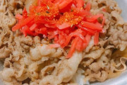【涙の味】信じられますか？この牛丼一杯二万するんです