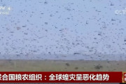 インド軍70万を撤退させた4千億匹のイナゴの大群が中国国境に接近中！