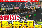 カープ田村2打席連続HR←中日ファンの反応「名電出身なのになぜ獲らなかった？」