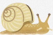 カタツムリ「カルシウムが少ない陸地に出てきたので殻が薄いです」←こいつｗｗｗｗｗｗ