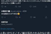 中井りかさん、ついに運営を脅迫してしまう