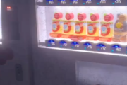 【悲報】万博の自販機、虫まみれになって終わるｗｗｗｗ
