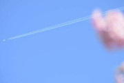 【画像】桜撮ってたら飛行機飛んでた