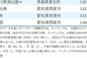 【悲報】2020年水が汚い海水浴場ランキングが発表されるｗｗｗｗｗｗｗ