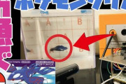【悲報】ネットで注目の『魚にポケモン操作させてクリアする生放送』、魚の◯◯というまさかの幕切れで終了・・・投稿者チャンネルも活動休止