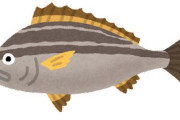 煽り抜きで「これ美味すぎだろ・・・」と思った魚
