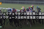オジュウチョウサンが顕彰馬に選出！ドウデュースは初年度落選で議論に